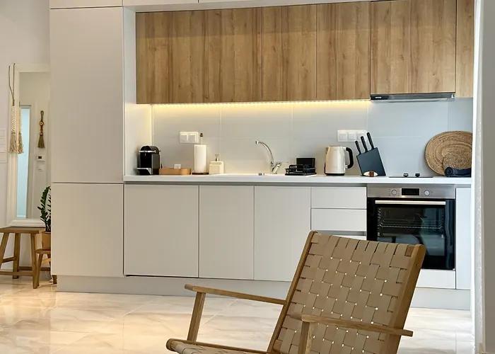 Luxury Downtown Apartment Guya